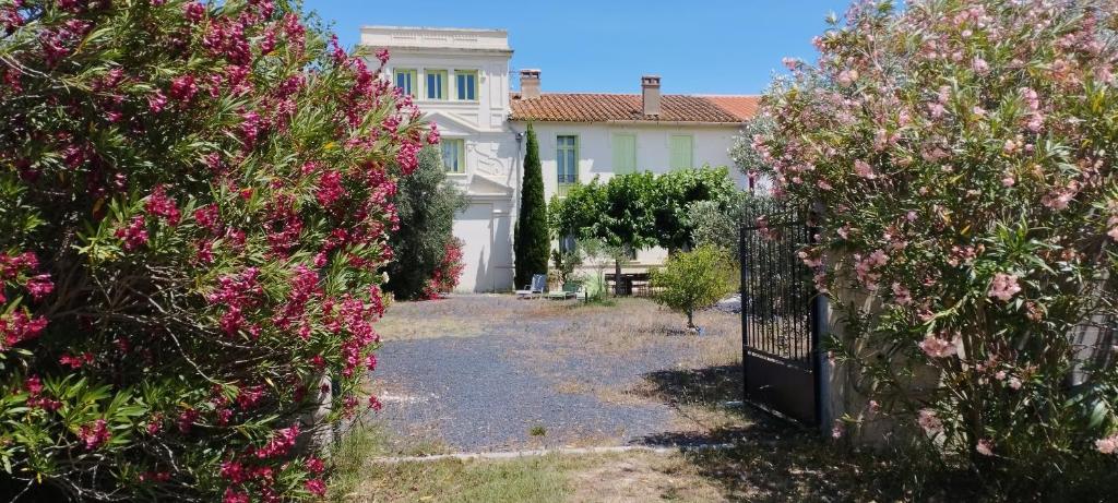 Maison 1930 Mas des Marbres Sauvages 10mn de la plage