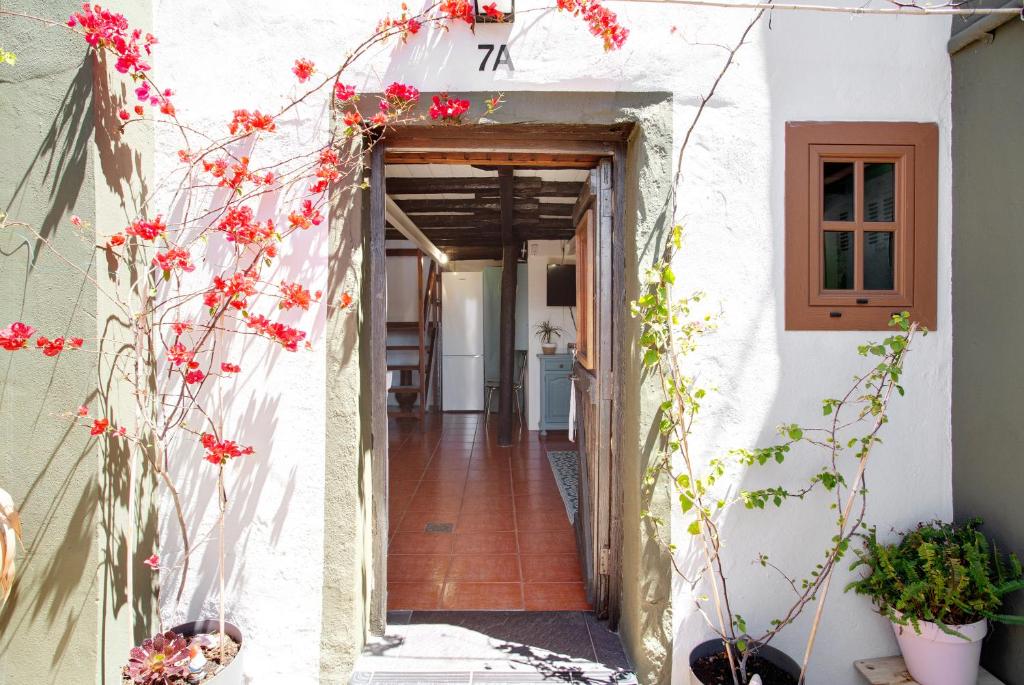 Casita Canaria photo 2