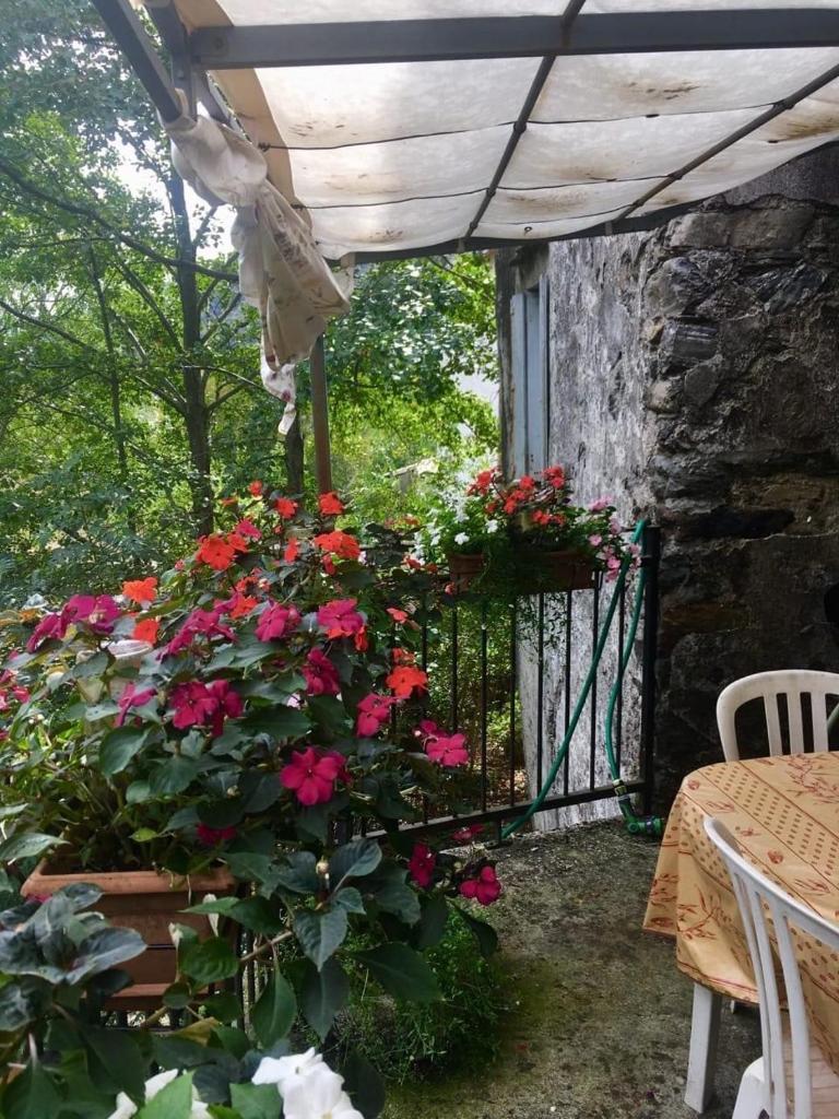 Grande maison cévenole authentique photo 2
