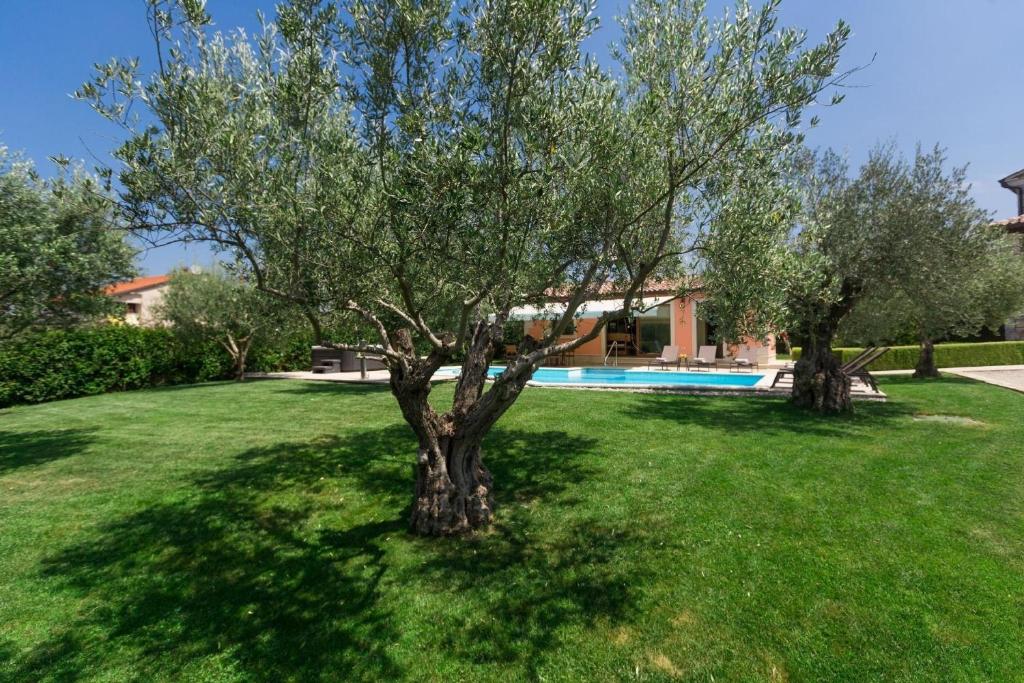 Villa mit Pool, Jacuzzi und großem Garten unweit von Porec, bis 12 Personen photo 3