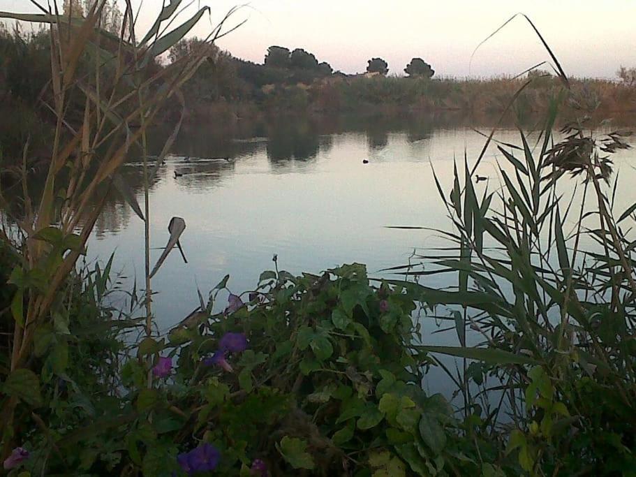 LaCasaGran de Benavites photo 2