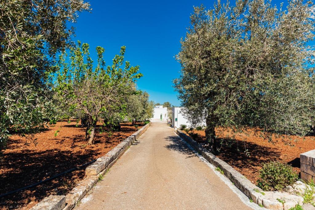 casa mama photo 4
