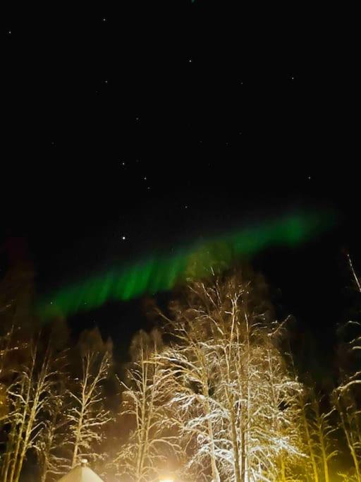 Mökki luonnon keskellä. photo 1