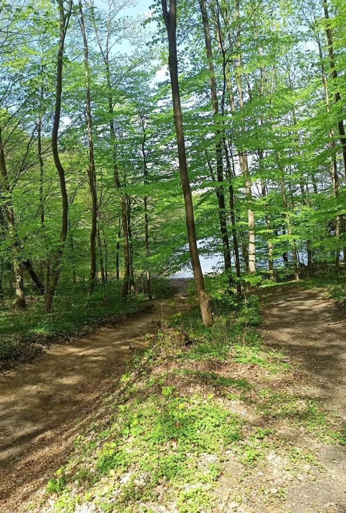 Domek pod Dębami Bogaczewo photo 4