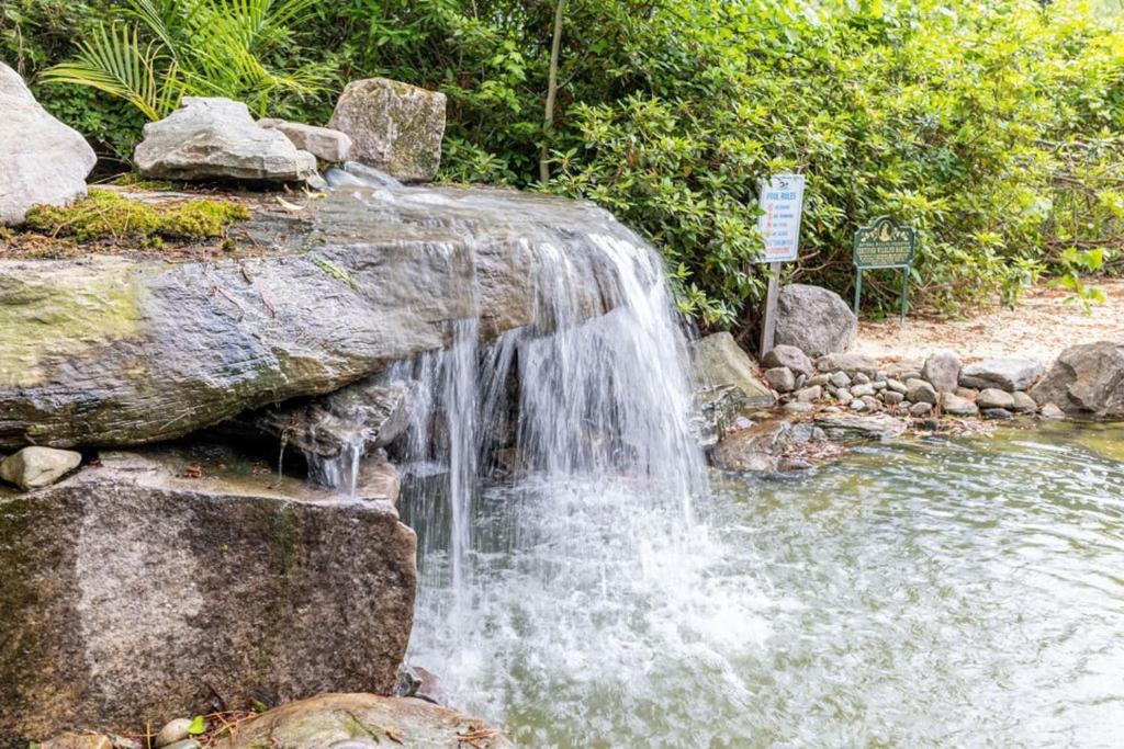 Grotto Waterfall Bethel Oasis 5 bedroom House with 2 masters photo 2