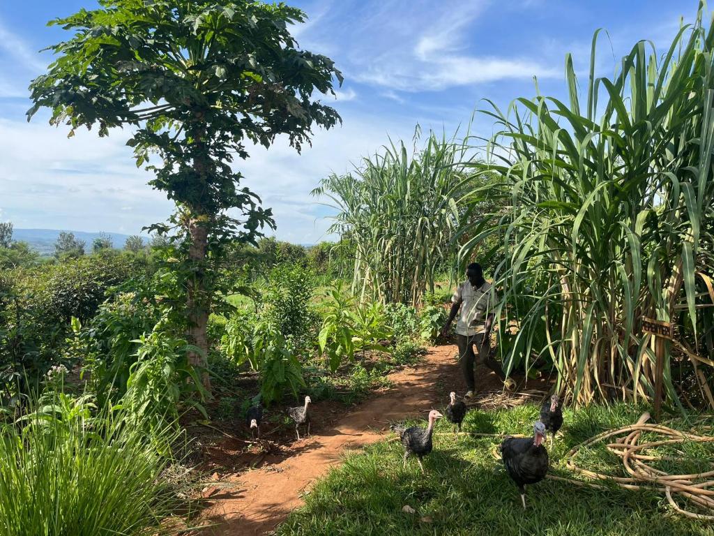 Rutete Eco Lodge photo 3
