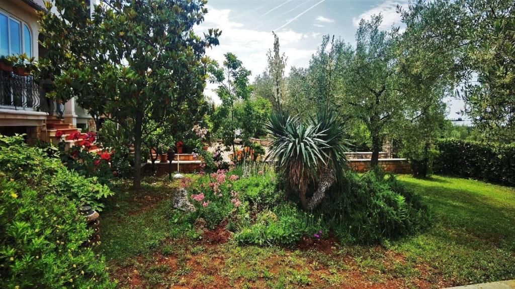 Studio für 3 Personen ca 45 qm in Bužinija, Istrien Istrische Riviera photo 2