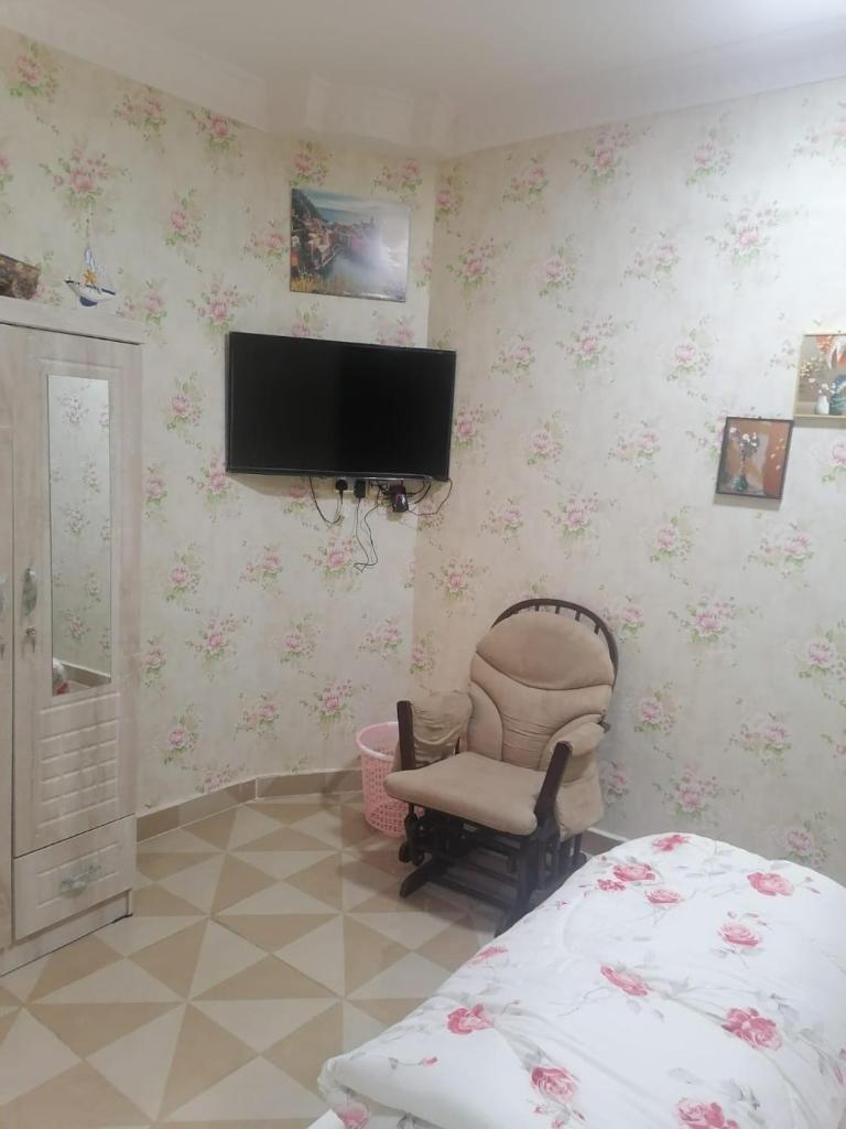 استراحة زمردة photo 4