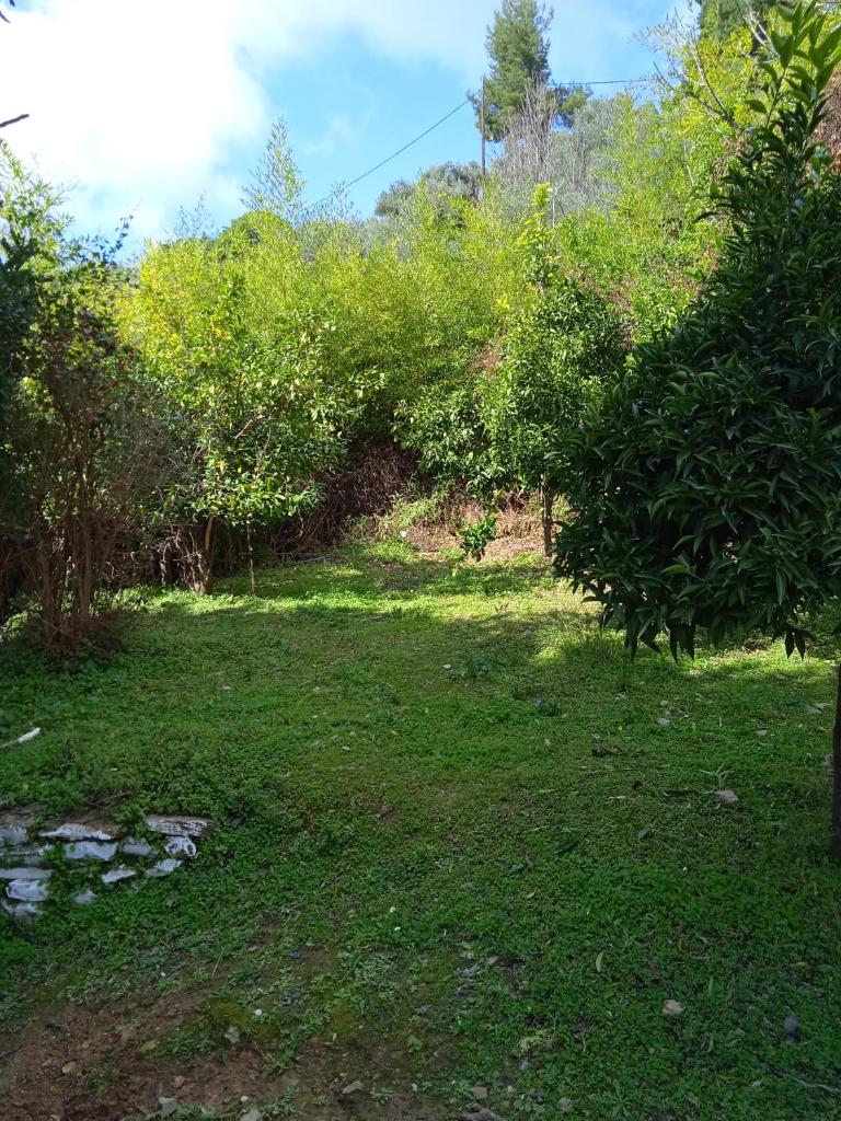 Casa de la Fuente photo 3