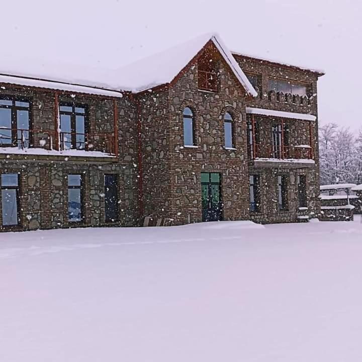 Vachnadziani wine resort photo 1