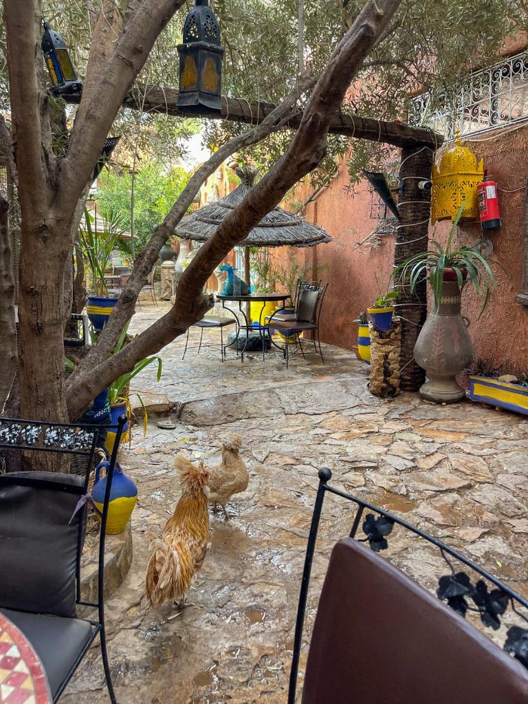 Auberge le Refuge photo 1