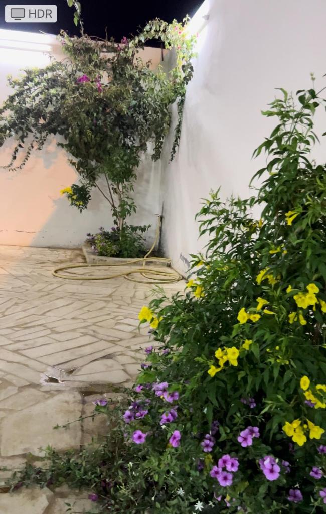 شاليه 1 photo 2