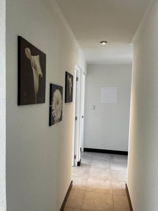 Apartamento cómodo y exclusivo photo 2