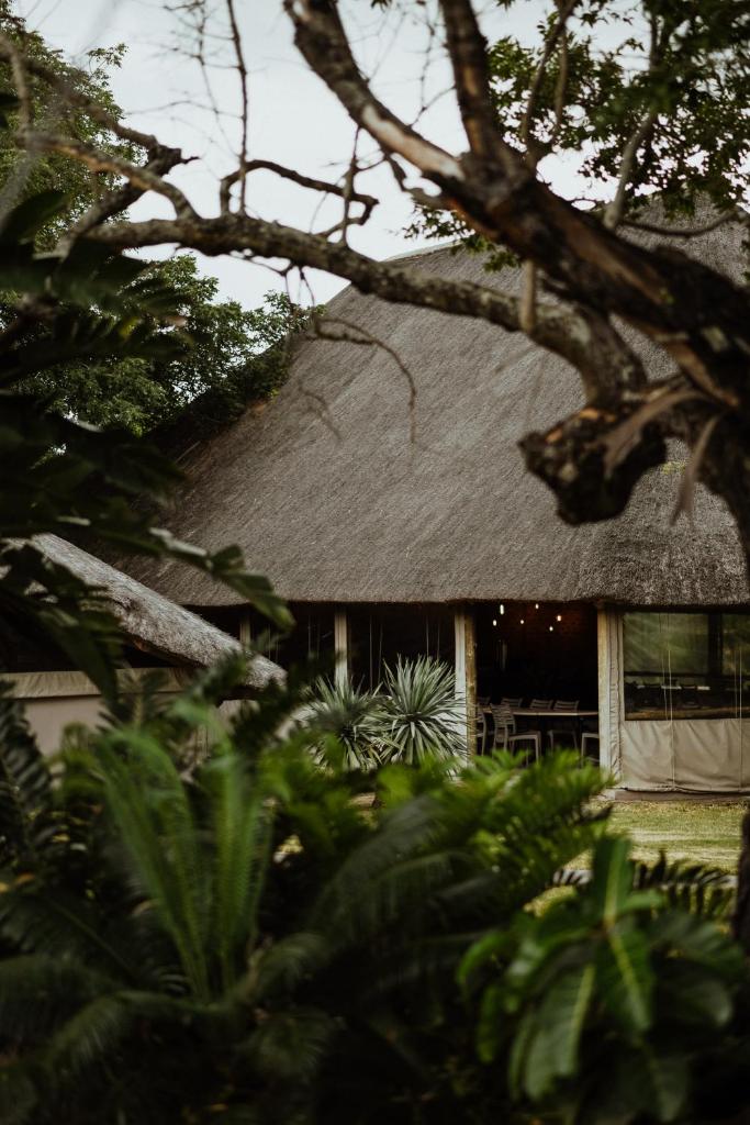 Unyati Safari Lodge photo 3