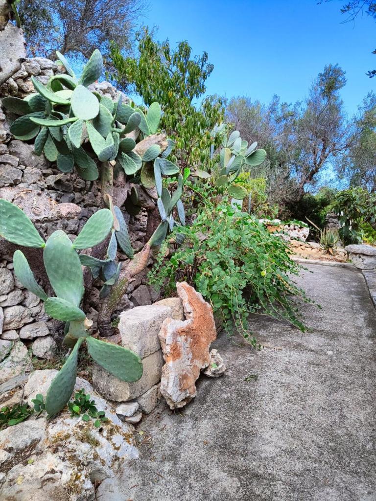 Casa Forestaforte photo 1