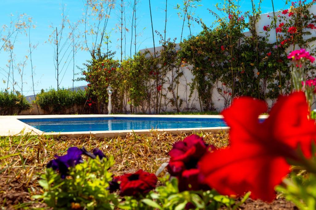 La casabella photo 1