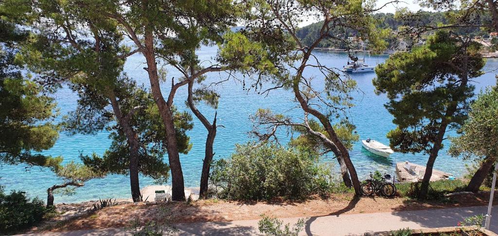 Appartement les pieds dans l'eau Dolce Villa photo 1