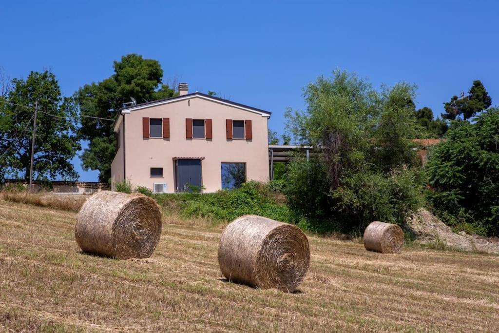 Sweet Home Offida photo 1