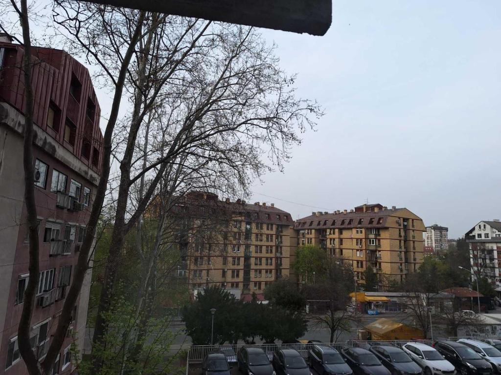 Apartman 8 photo 3