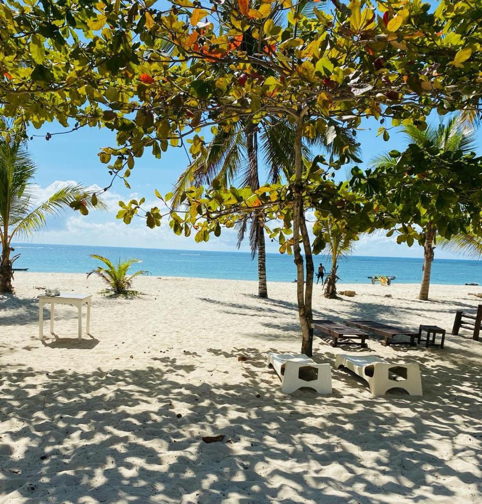 Beachfront bliss villa photo 2