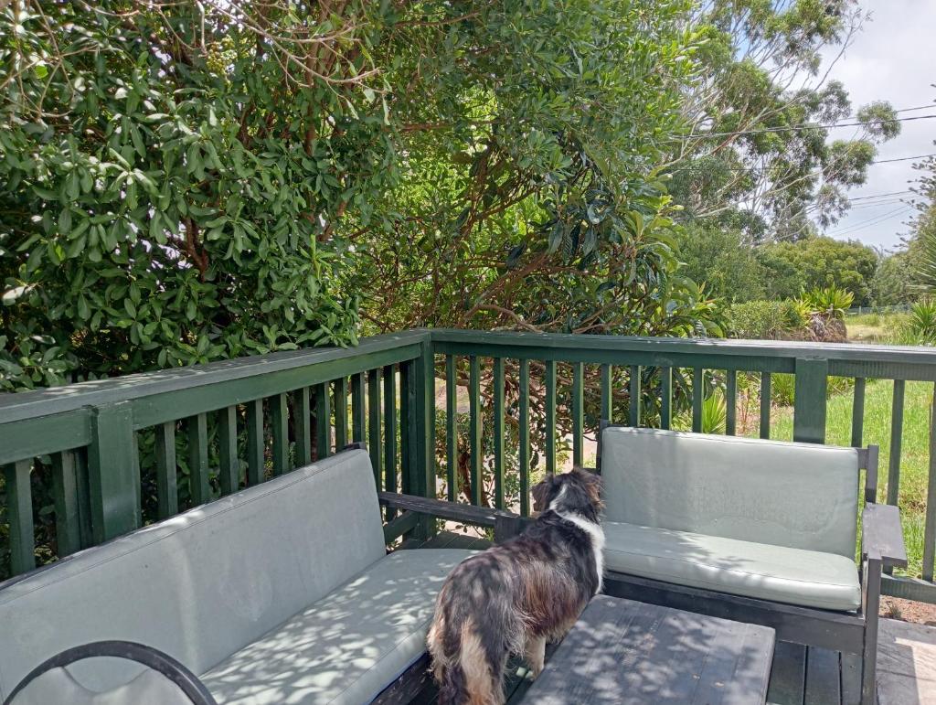Harkate Guest House photo 3
