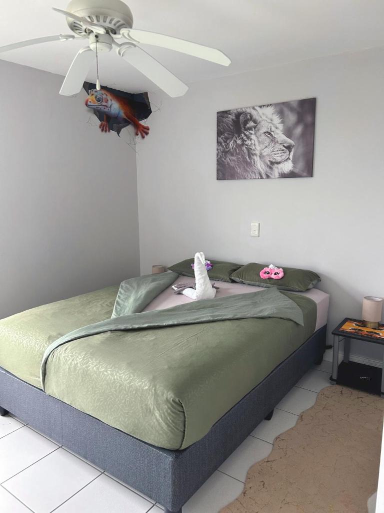 San Lukas Guest Apartment photo 4