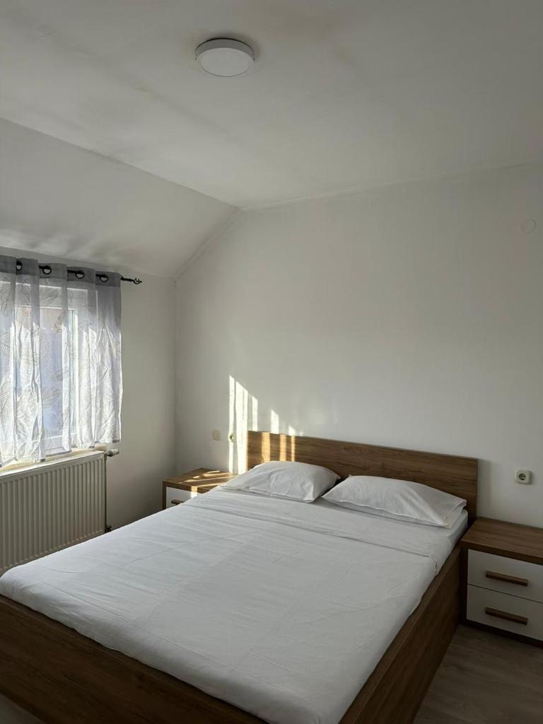 Hostel photo 3