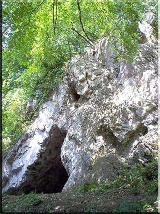 Escapade Ardenne: 16 pers photo 2