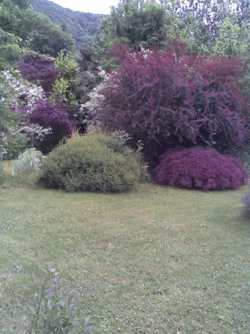 Escapade Ardenne: 16 pers photo 3
