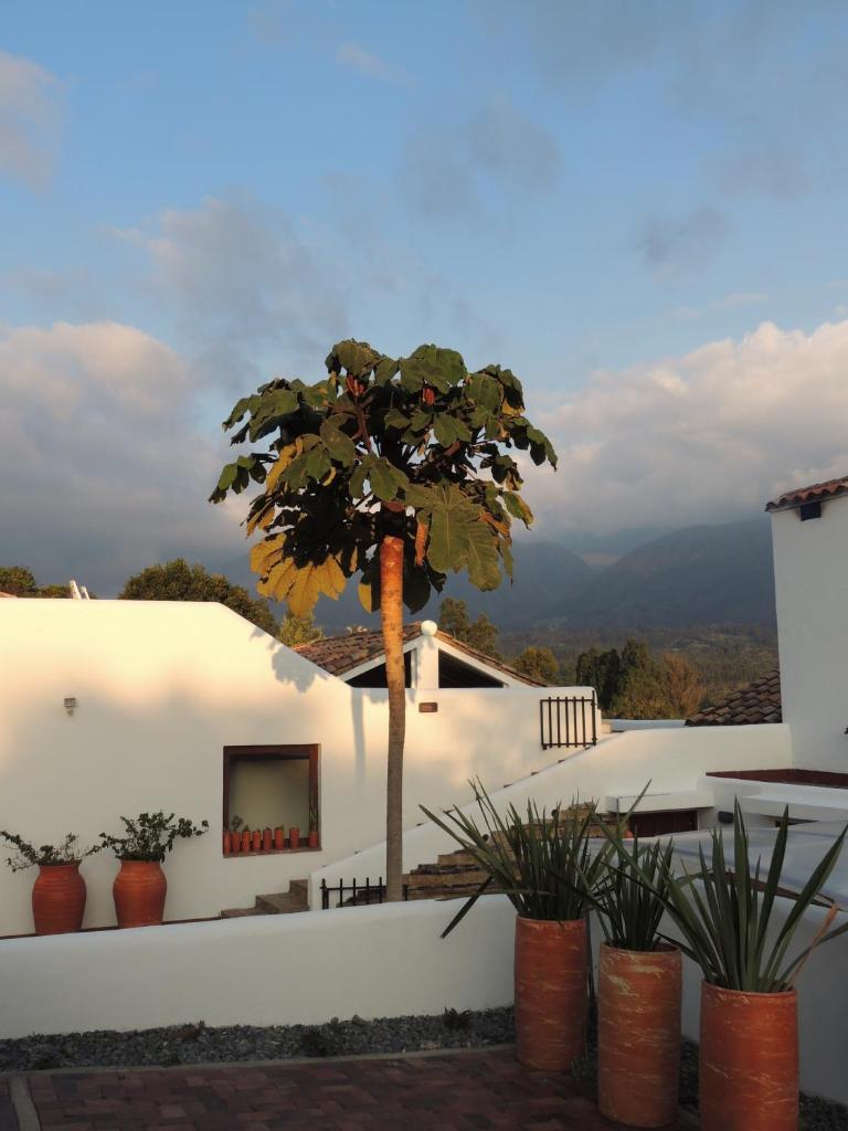 PASSADHI Ayurveda & Yoga Retreat photo 1