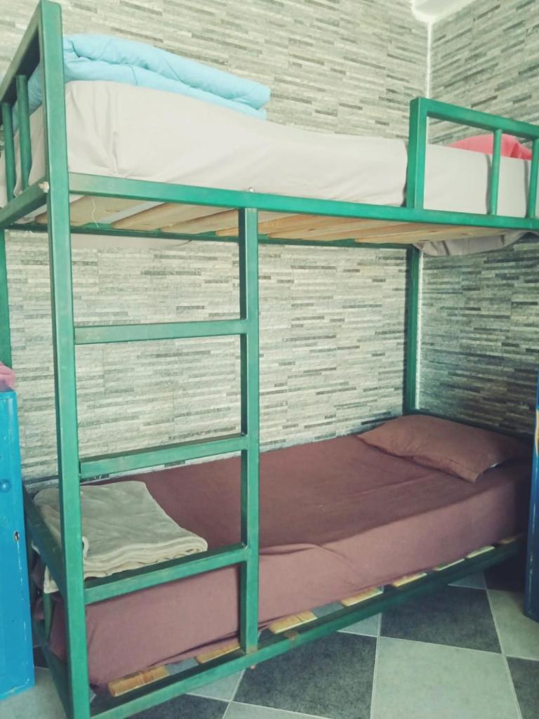 My Hostel in Dahab - Dive center Room Type - Bed in 6-Bed Female Dormitory Room