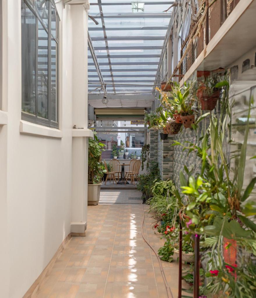 Nhý Villa Đà Lạt Review