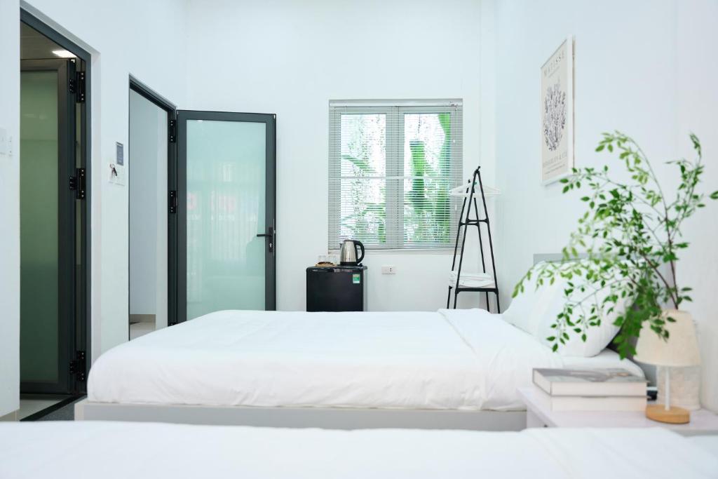 Chingu Vũng Tàu Home