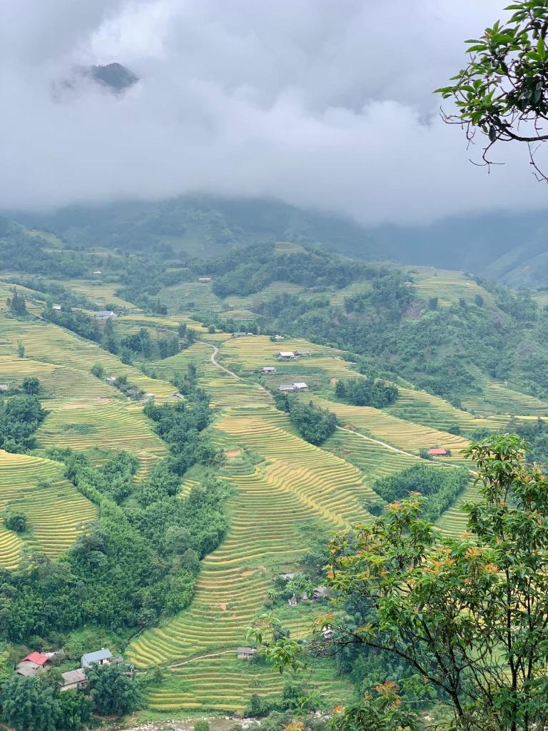 MUONG HOA Peaceful HOMESTAY & Sapa