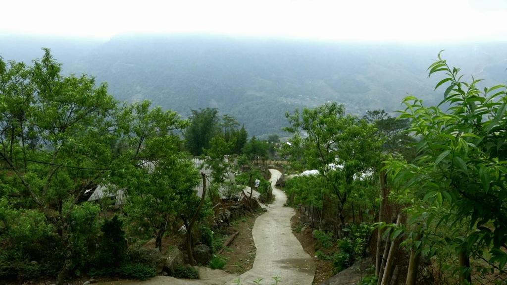 MUONG HOA Peaceful HOMESTAY & Sapa