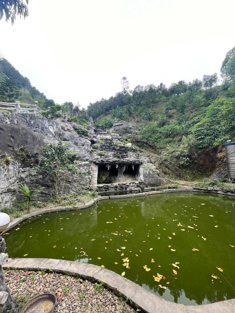 Khách sạn Phương Thuý 1