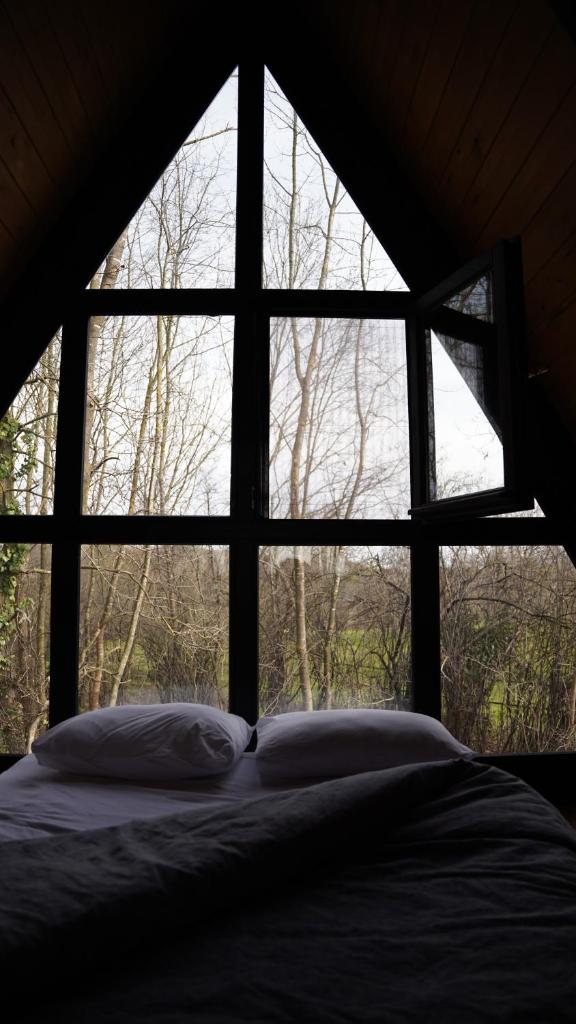 Pentalow Cabin, Merkez, Sakarya