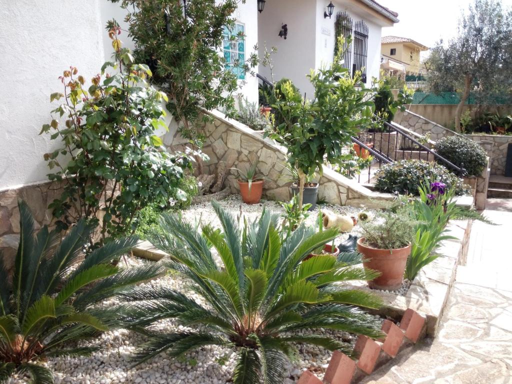 Armonía photo 4