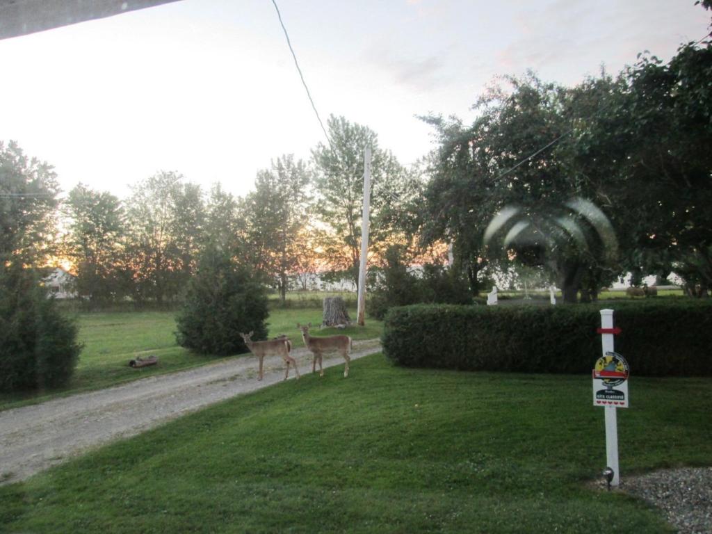 Gîte Les Acres Tranquilles B&B photo 1