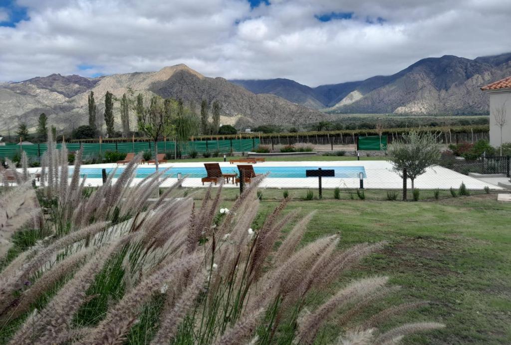 Cafayate Buenas Vides photo 2