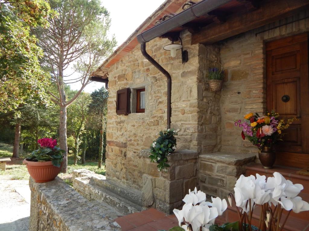 Podere San Cassiano photo 3