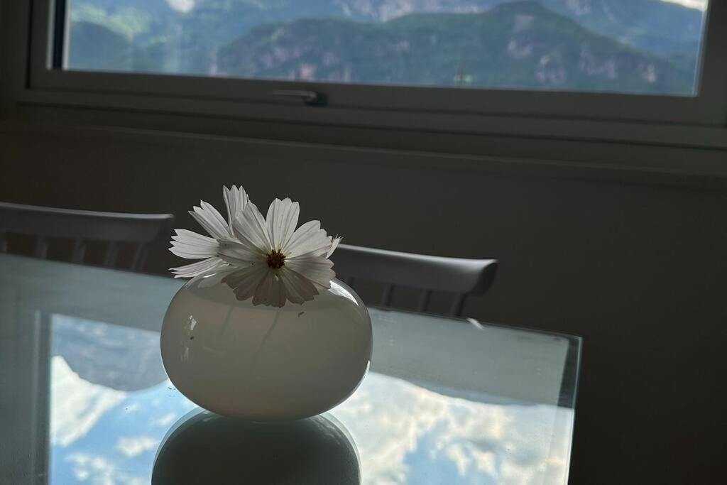 Haus Hafner Sonniges Apartment - Tap to explore photos