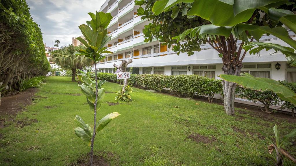 Tagoror Beach Apartments - Adults Only photo 1