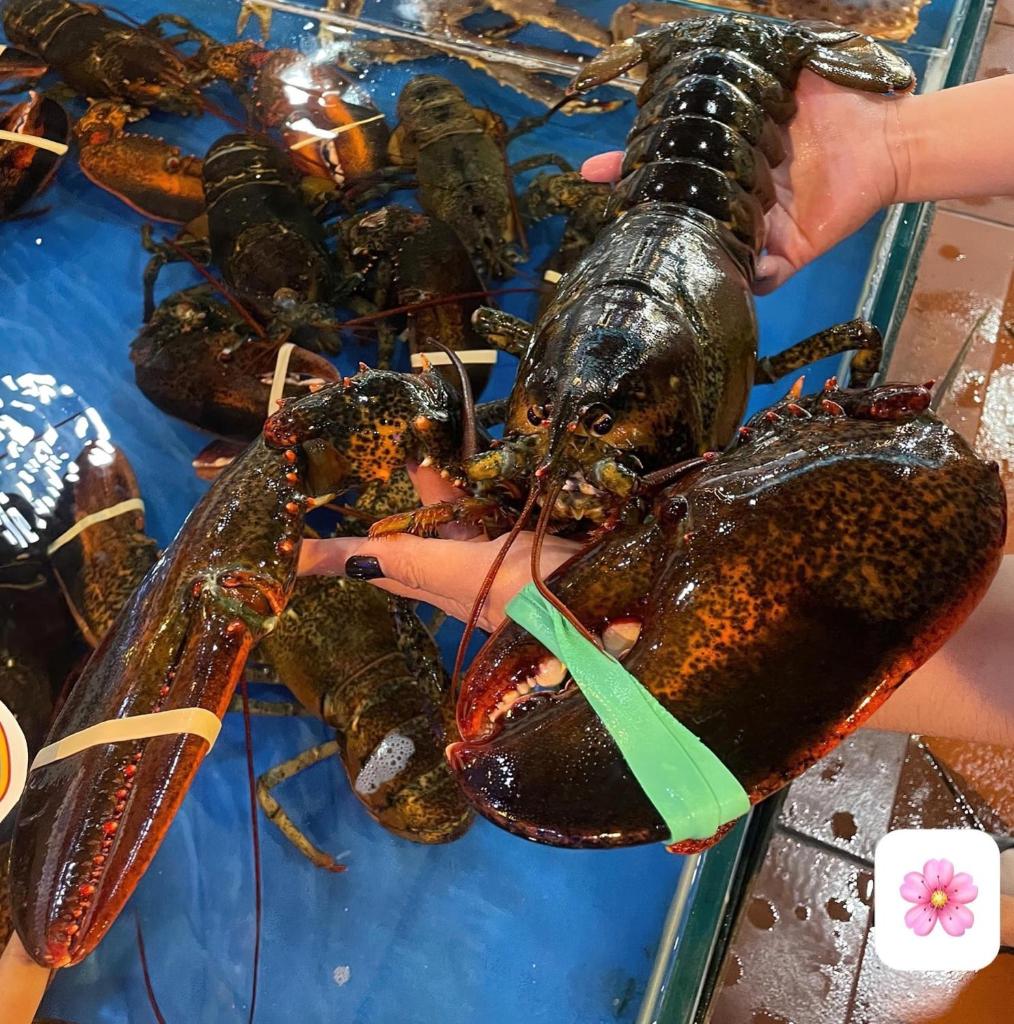 Khách sạn Tân Tiến - Biển Sầm Sơn