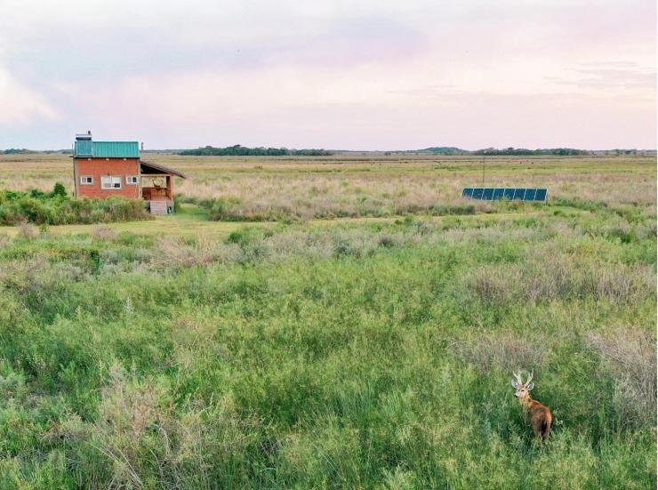 Wild Wetlands Lodge photo 3