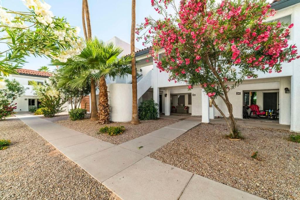33 Avenida Pool View Studio new to market Avenida king bed ds image