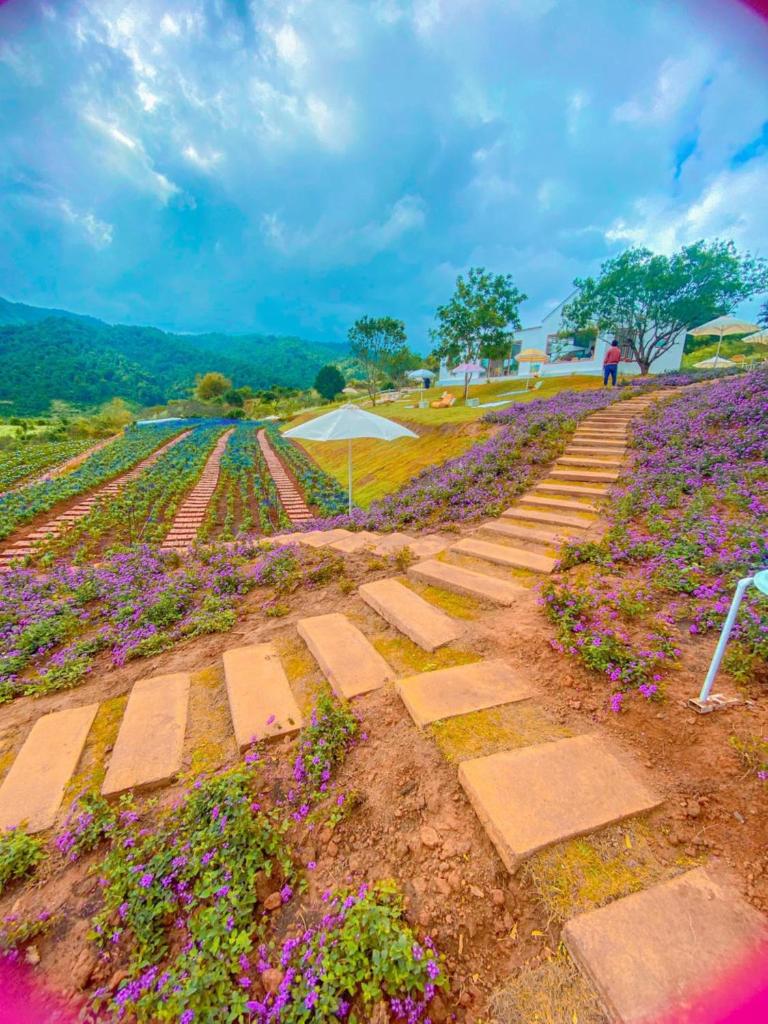 Thung Lũng Ba Đồi Chè