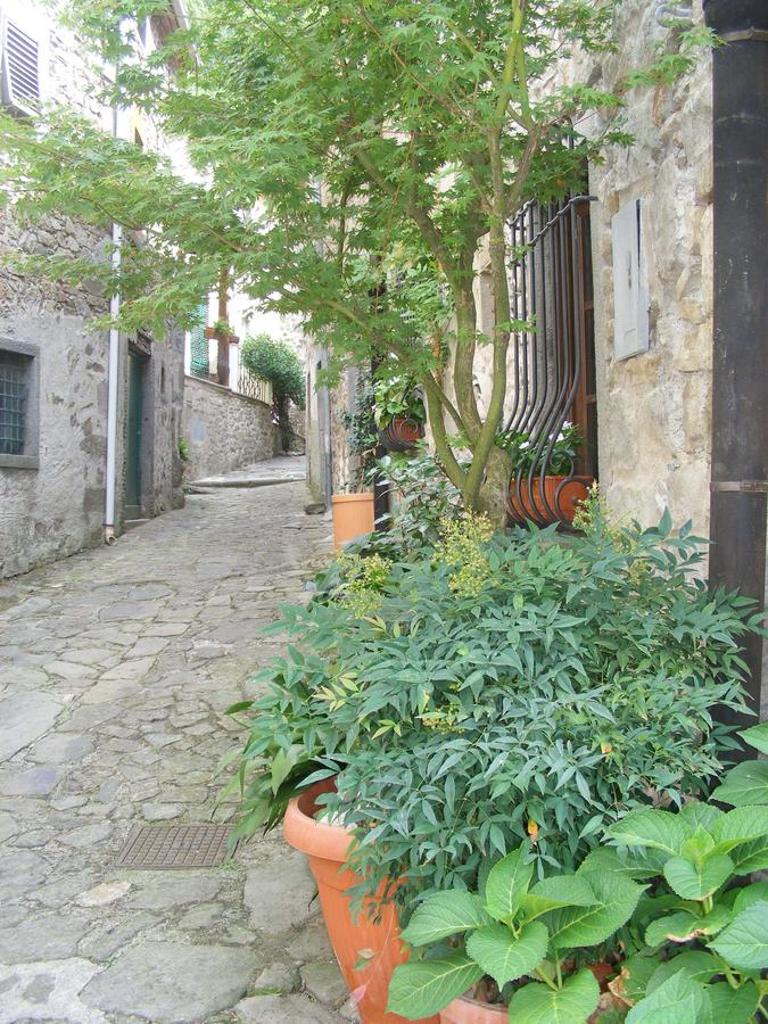 Casa Marchi photo 3