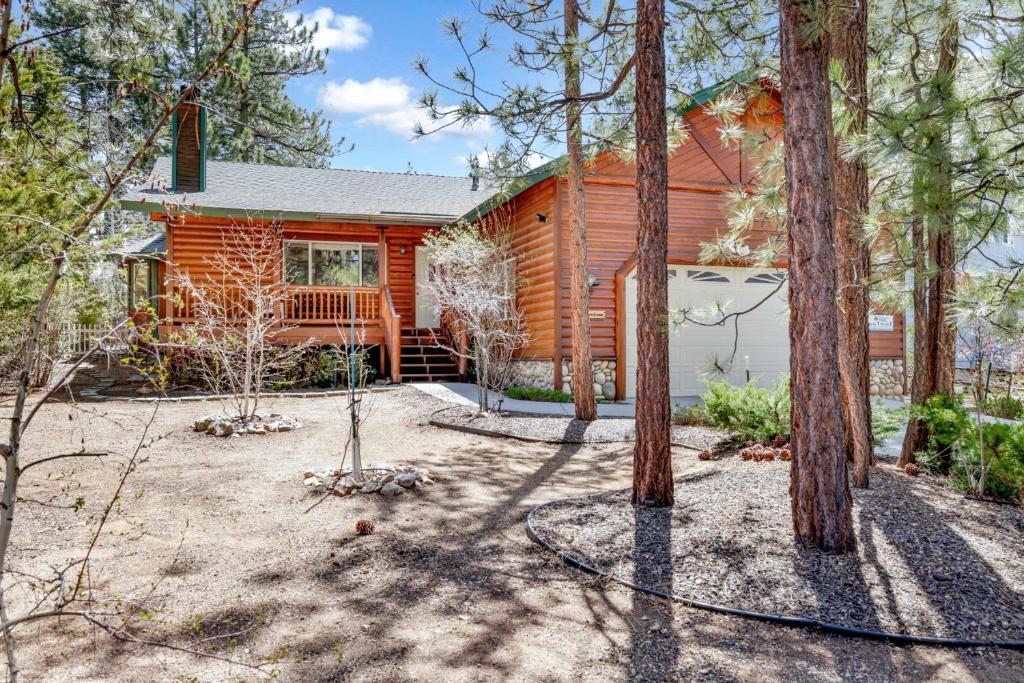 Aspen Grove #1041 image