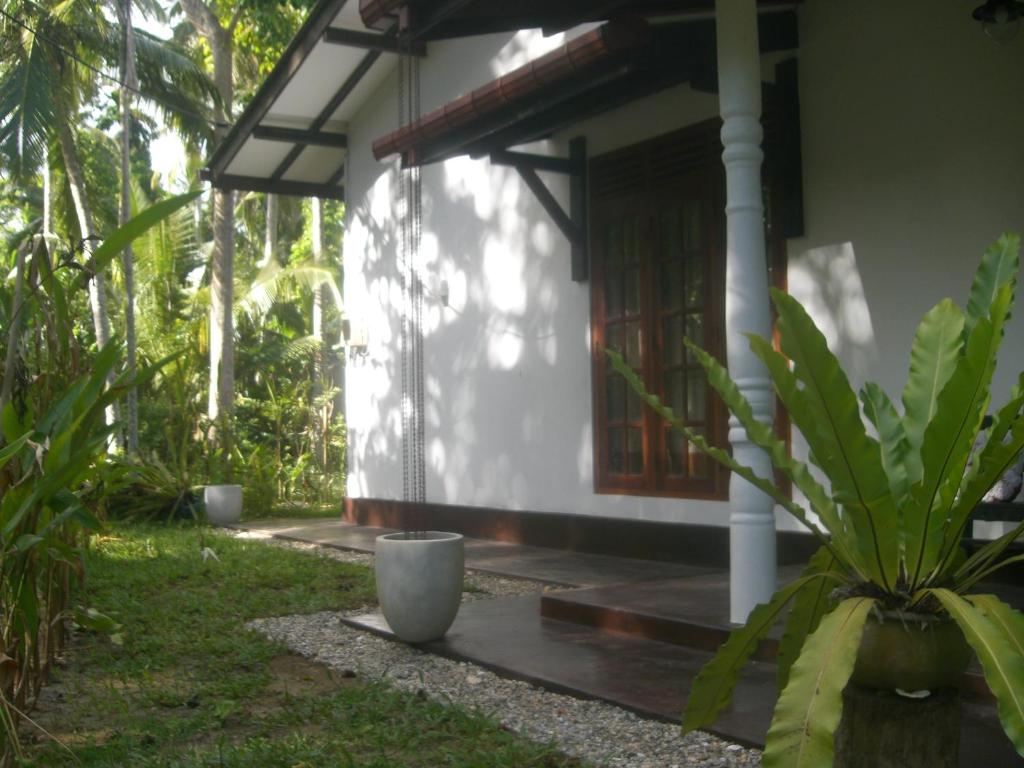 Bird Villa photo 3